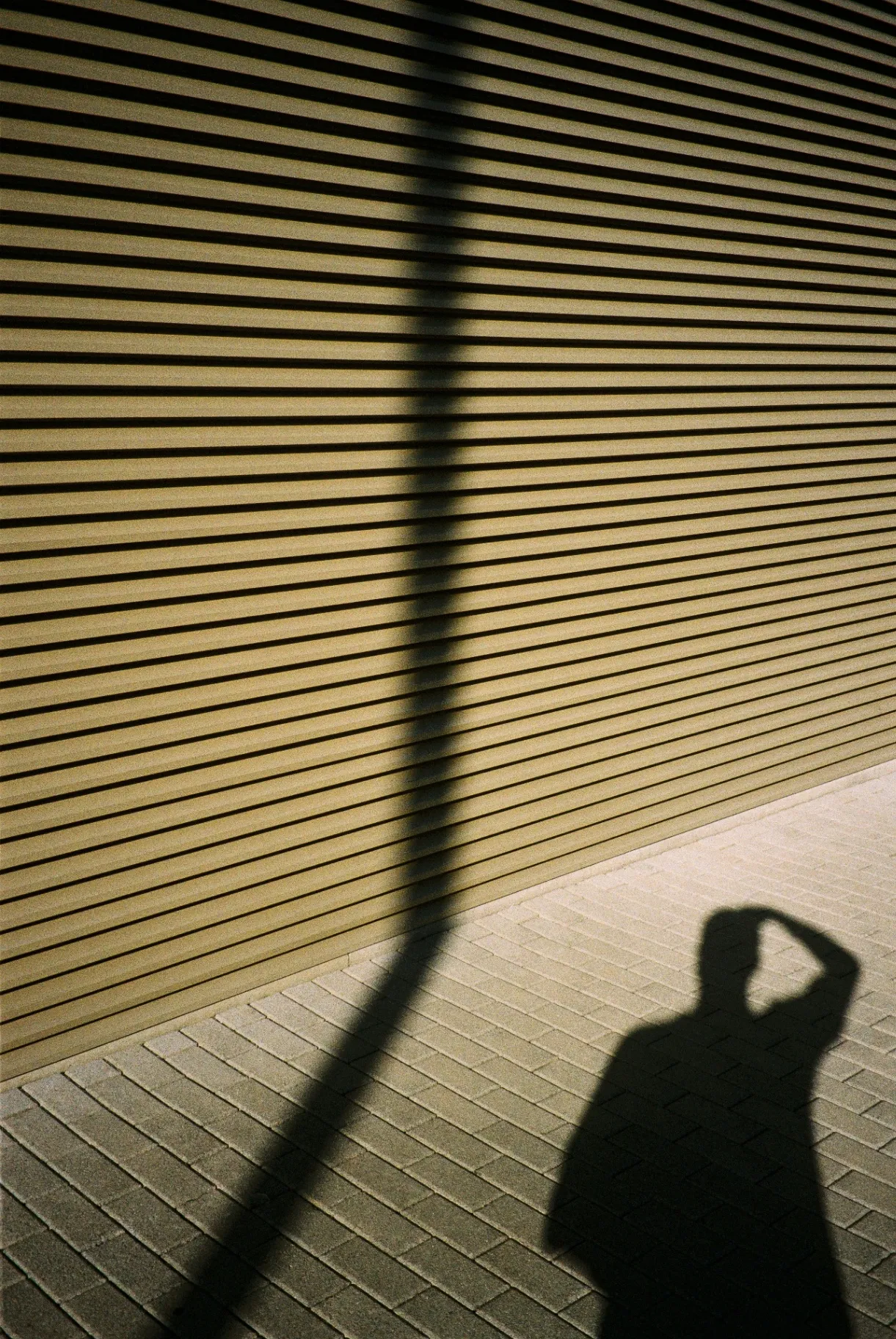 Untitled Image