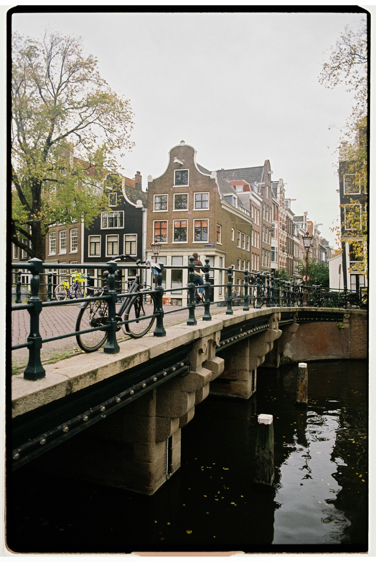 Untitled Image